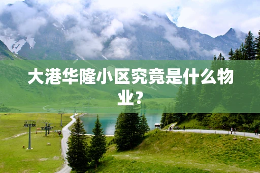 大港华隆小区究竟是什么物业？
