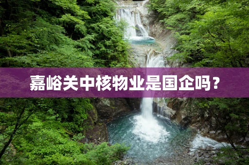 嘉峪关中核物业是国企吗？