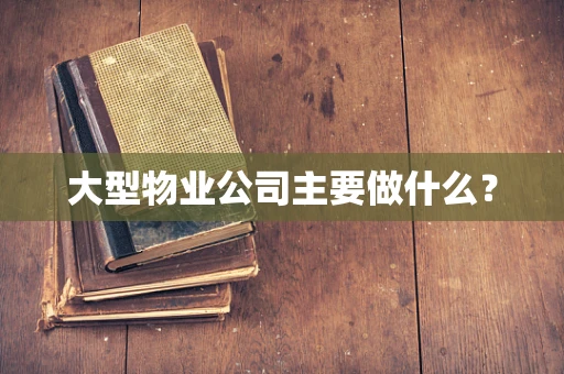 大型物业公司主要做什么？