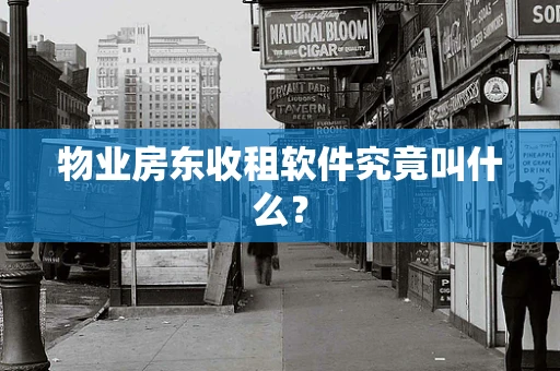 物业房东收租软件究竟叫什么？