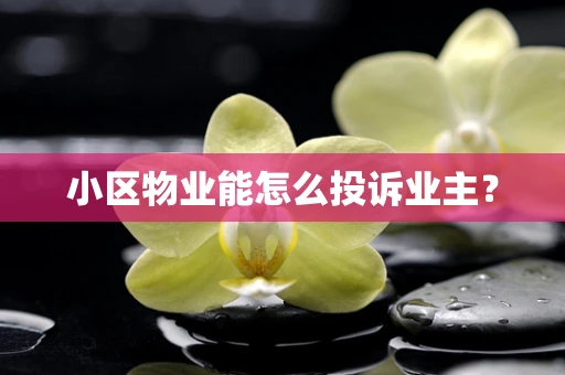 小区物业能怎么投诉业主？