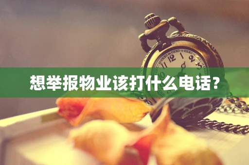 想举报物业该打什么电话？
