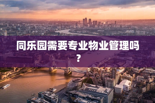 同乐园需要专业物业管理吗？
