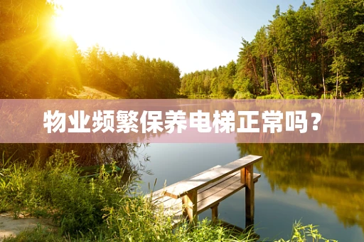 物业频繁保养电梯正常吗？
