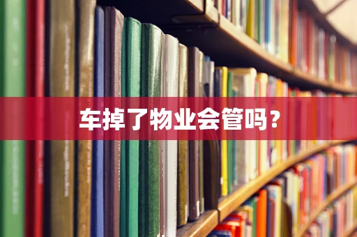 车掉了物业会管吗？