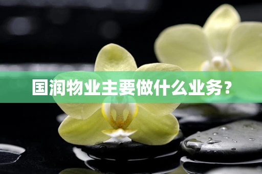 国润物业主要做什么业务？