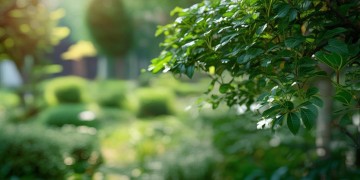 万科物业一般是什么工资？