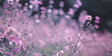 你为什么讨厌物业呢？